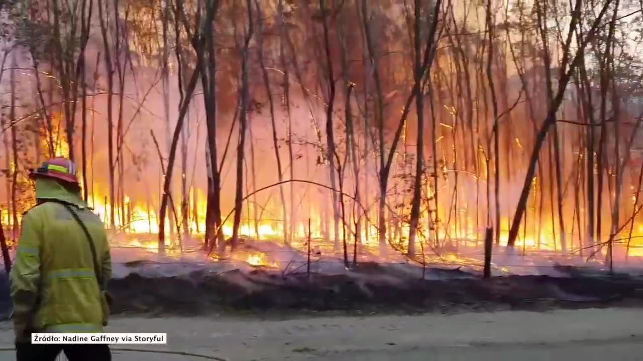 Pożary w Australii strawiły 60 tys. hektarów buszu i zniszczyły ponad 100 budynków