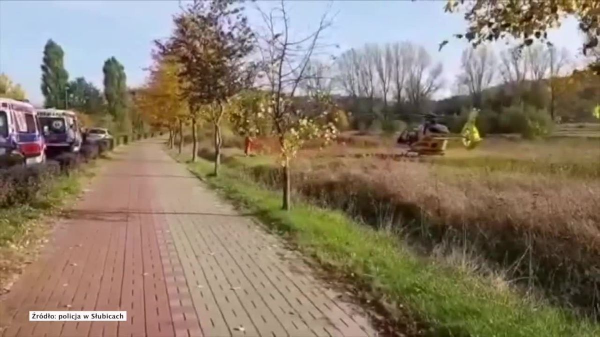 zdjęcie