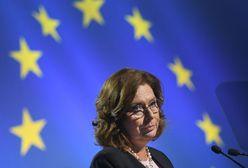 "Sieci": Twórca SokzBuraka zatrudniony w sztabie Małgorzaty Kidawy-Błońskiej