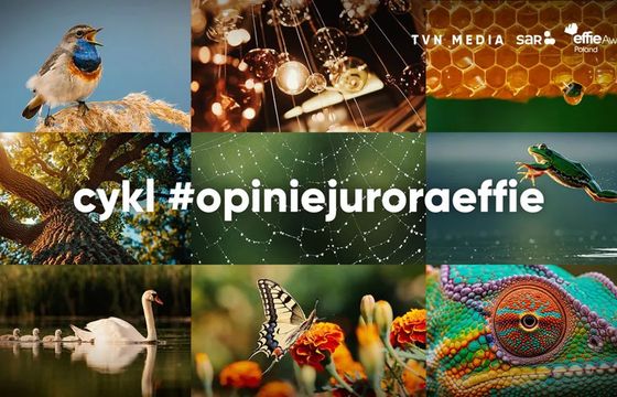 SAR i TVN Media startują z jubileuszową, dziesiątą edycją cyklu #opiniejuroraeffie