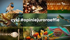 SAR i TVN Media startują z jubileuszową, dziesiątą edycją cyklu #opiniejuroraeffie
