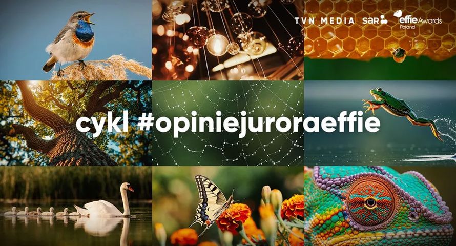 SAR i TVN Media startują z jubileuszową, dziesiątą edycją cyklu #opiniejuroraeffie