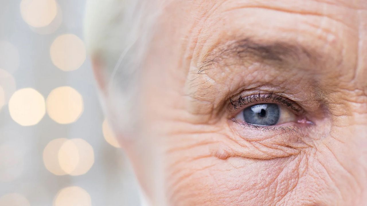 „Widzieć” bez oczu. Trening aktywuje korę wzrokową