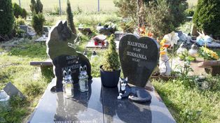 Cmentarze dla zwierząt. Tyle kosztuje pochówek psa lub kota