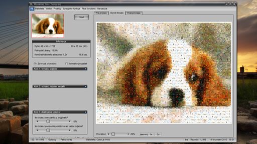 Mosaizer Pro