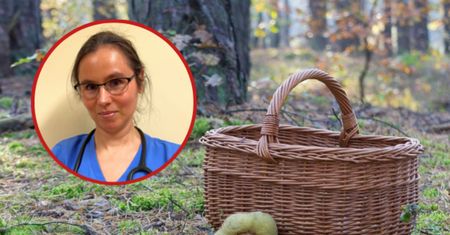 Toksykolog ostrzega grzybiarzy. "Trzeba krytycznie ocenić"
