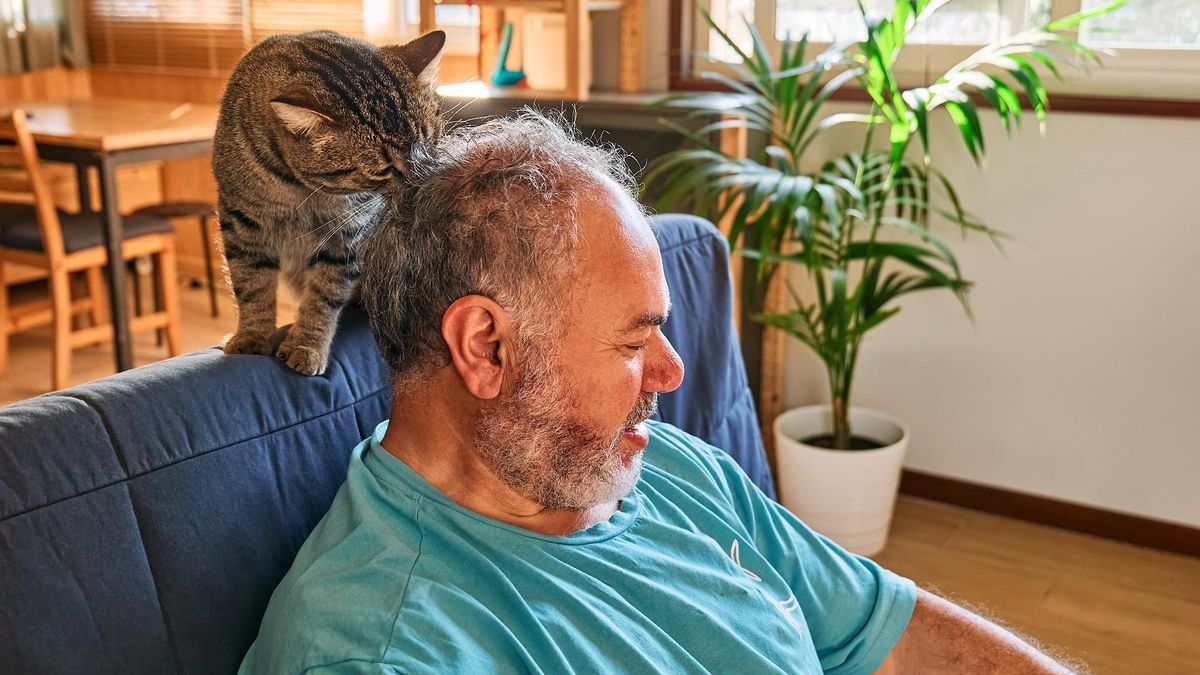 Jeśli kot liże Twoje włosy, najprawdopodobniej postrzega Cię jako część swojej grupy społecznej