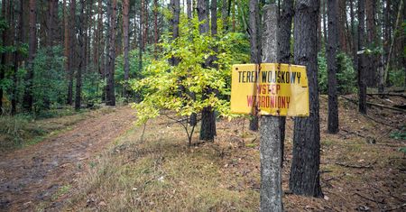 W ich sąsiedztwie była baza atomowa. Teraz mówią o nuclear sharing