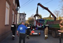 Mieroszów. Łania ocalona. Uciekała przed wilkami, utknęła w rzece