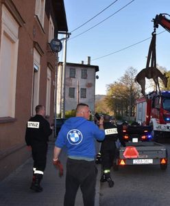 Mieroszów. Łania ocalona. Uciekała przed wilkami, utknęła w rzece