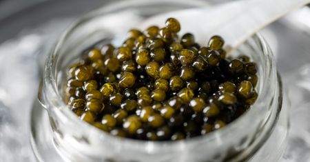 Kiedyś podawano dzieciom jako lekarstwo. Dziś za małą puszkę tego przysmaku zapłacisz nawet 1300 zł