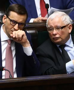 PiS w kozim rogu. "Niczego nie obiecują, bo nie ma pomysłu na politykę gospodarczą"