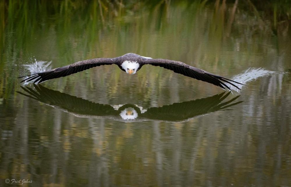 Nie uwierzycie, że te zdjęcia powstały bez pomocy Photoshopa 8