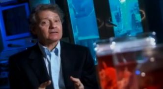 Mięso z drukarki. Ten człowiek naprawdę je robi