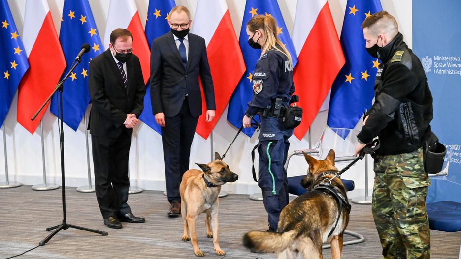 Opieka dla zwierząt w służbie. Projekt MSWiA zaakceptował Jarosław Kaczyński