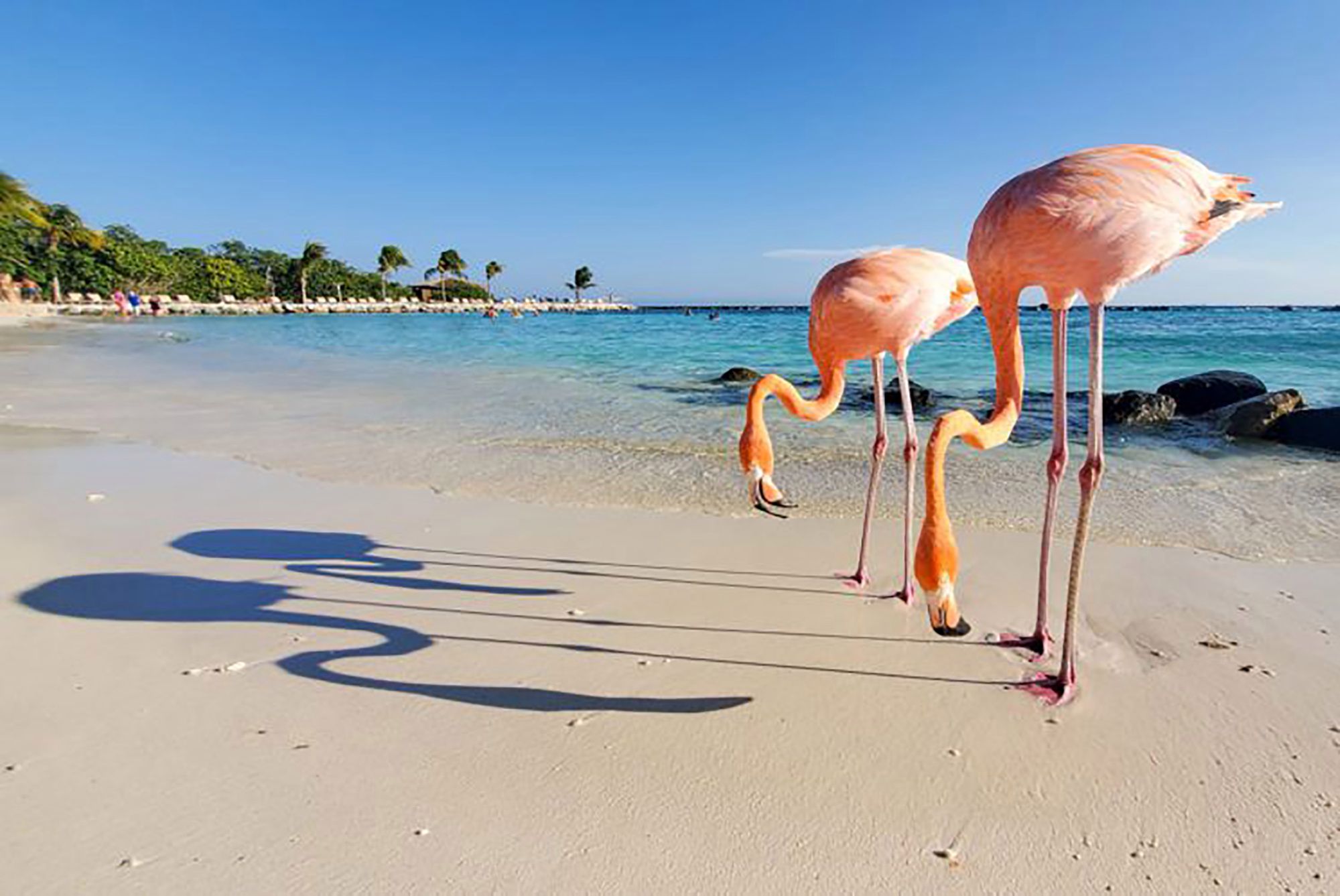 Wybrano najlepsze zdjęcia podróżnicze minionego roku. Oto zwycięzcy Travel Photographer of the Year 2019 5