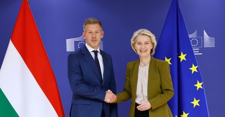 Polacy o wyborach na Węgrzech. Wyrazili swoje zdanie w sondażu