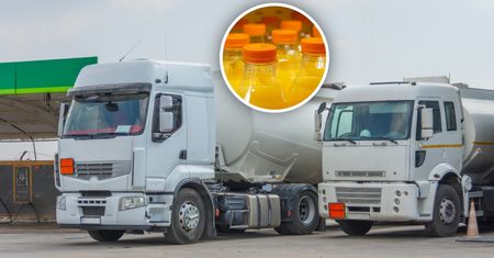 Zatrzymali żywność na granicy. Wydali 73 zakazy. Oto co wykryli