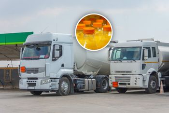 Larwy i pleśń. Nowe dane o zakazach dla towarów z zagranicy