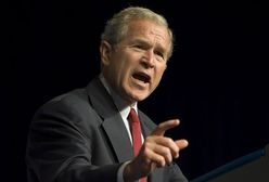 Głupiec, którego pokocha historia