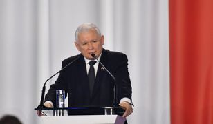 PiS ma kłopot. "To może być przyjęte jak 'piątka dla zwierząt'"