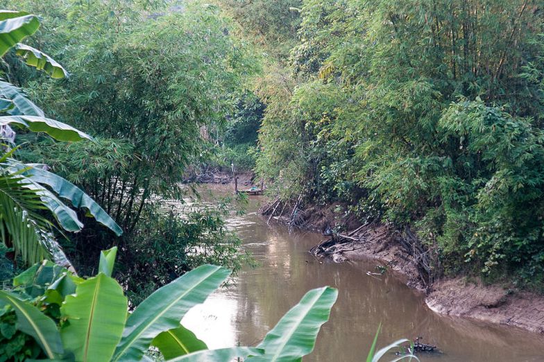 Indonezja: 18 osób nie żyje. Szukali złota