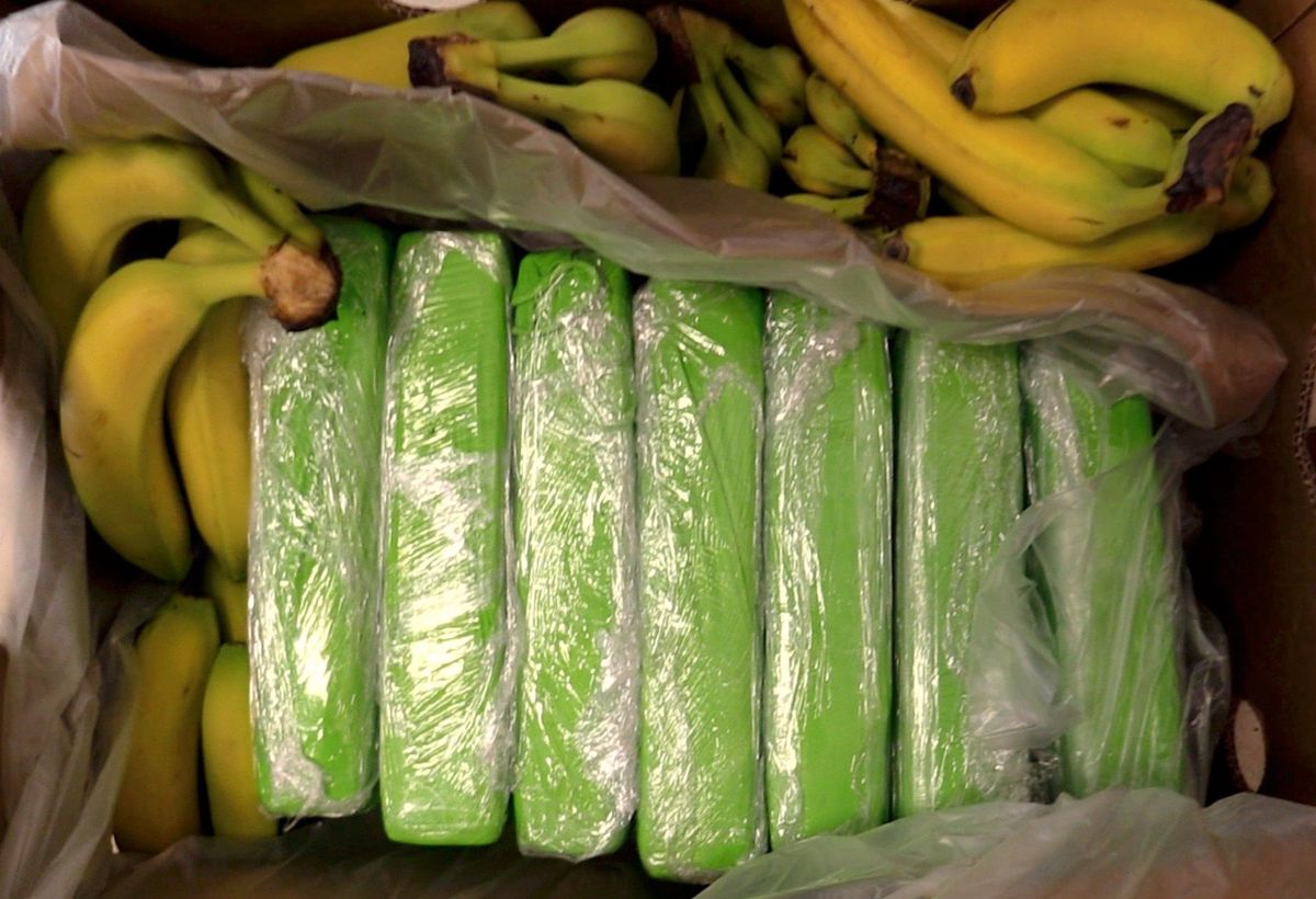 Kokaina w bananach w sklepach w Warszawie. Policja zabezpieczyła towar