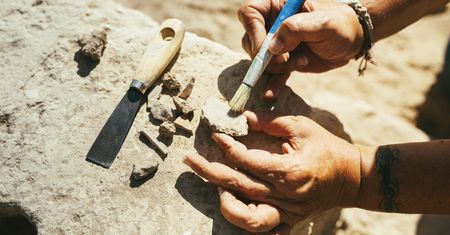 Pochodzą sprzed 37 milionów lat. Rzadkie skamieniałości gadów i płazów