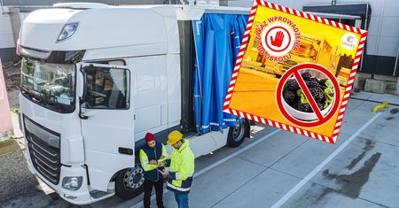 Transport owoców z Ukrainy zatrzymany. Służby wstrzymały oddech