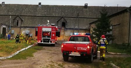 Pożar kurnika w Próchnowie