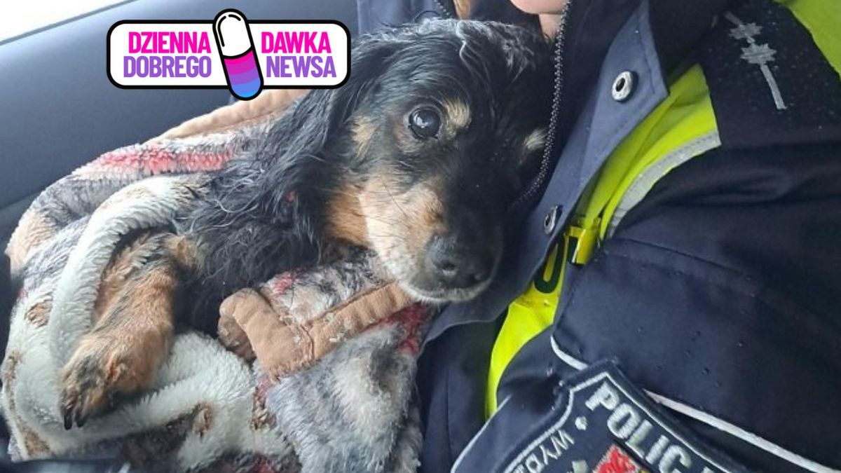 Nie zostali obojętni. Wzruszająca akcja ratunkowa