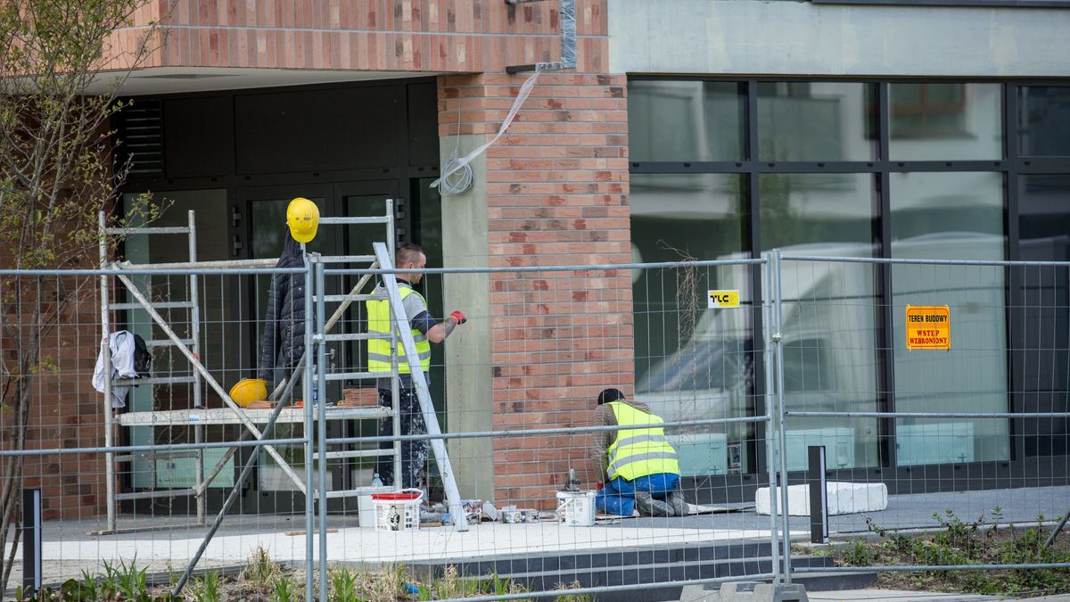 Pracownicy z Ukrainy często znajdują zatrudnienie w sektorze budowlanym.