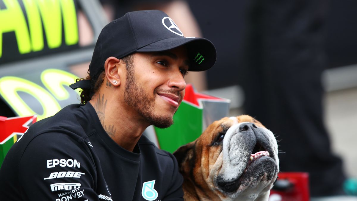 PORTIMAO, PORTUGAL - OCTOBER 25: Race winner Lewis Hamilton of Great Britain and Mercedes GP celebrates his record breaking 92nd race win with his dog Roscoe in the pitlane during the F1 Grand Prix of Portugal at Autodromo Internacional do Algarve on October 25, 2020 in Portimao, Portugal. (Photo by Joe Portlock/Getty Images)