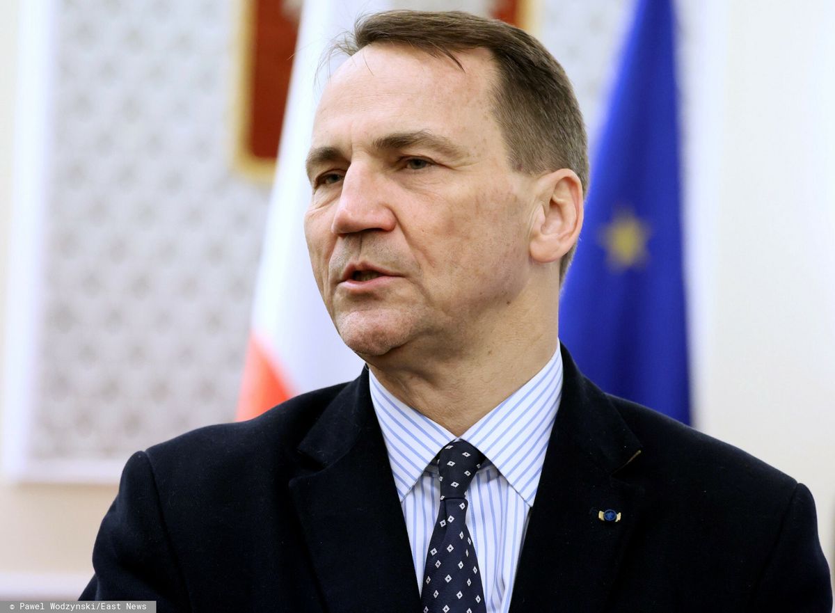 Radosław Sikorski nowym ministrem spraw zagranicznych
