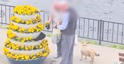 Amatorom miejskich bratków grozi 5 tys. złotych gryzwny