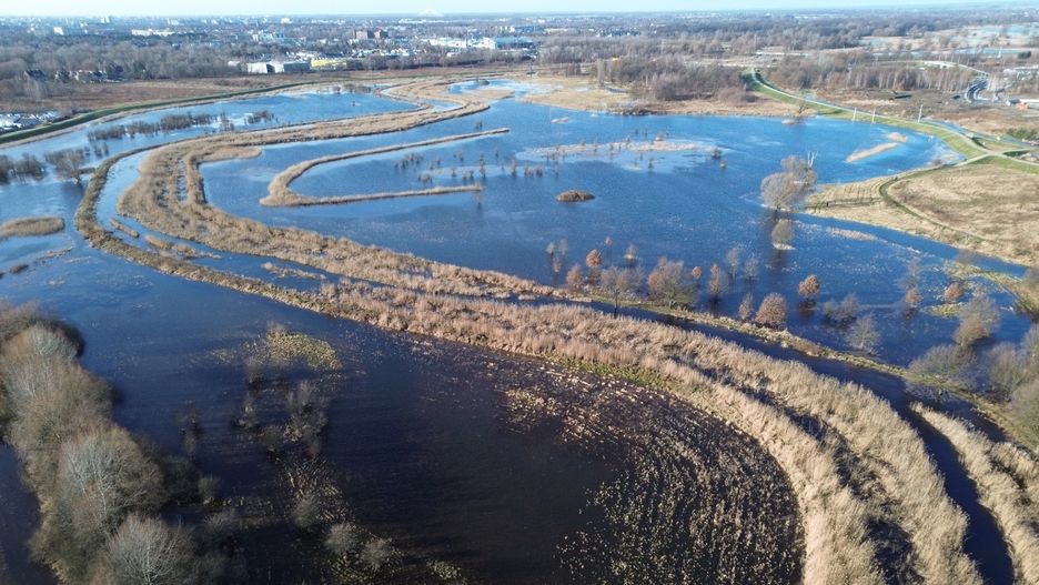 Rzeka Widawa. Widawa we Wrocławiu. Rozlewiska Widawy