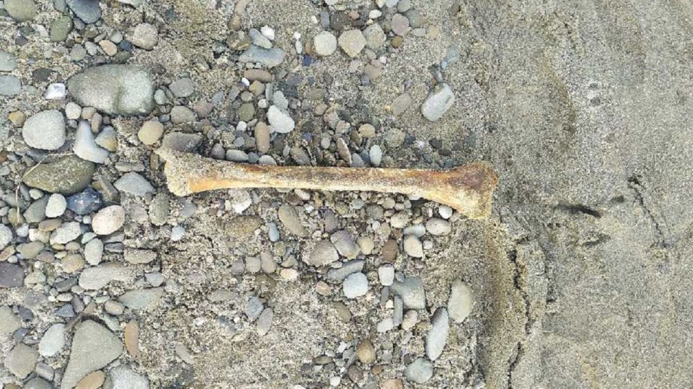 Grupa nastolatków znalazła ludzkie kości w Oświęcimiu