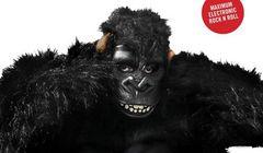 "British Nuclear Bunkers" - Luke Haines wydaję nową płytę