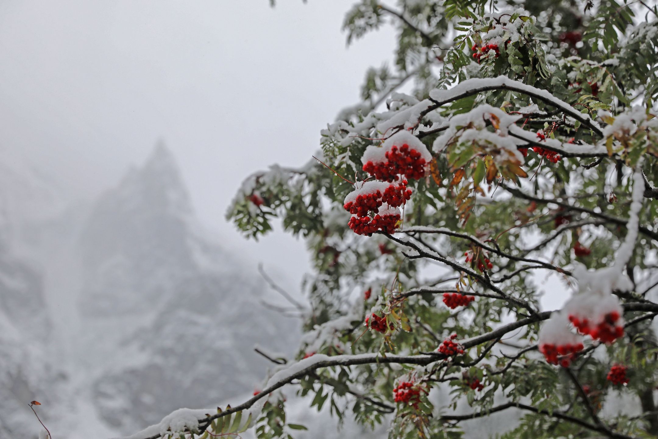 Morskie Oko. Pierwszy większy opad śniegu na zakończenie lata