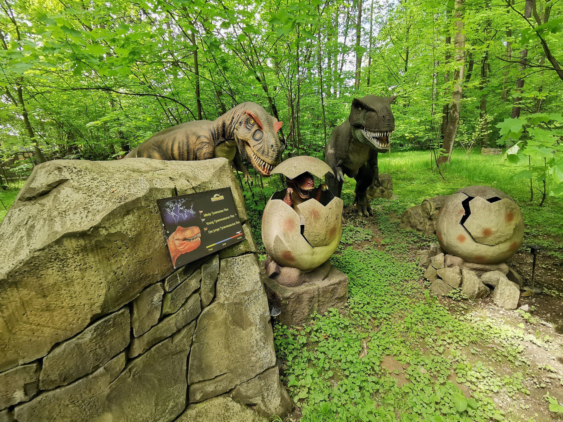 Park ruchomych Dinozaurów Zatorland 