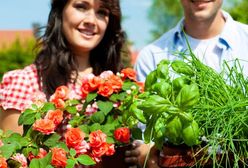 Jesteś niepełnoletni, pracy nie dostaniesz