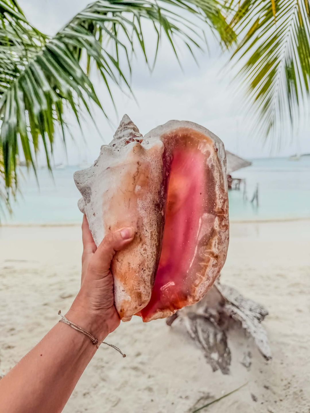 Archipelag San Blas może niebawem zniknąć 