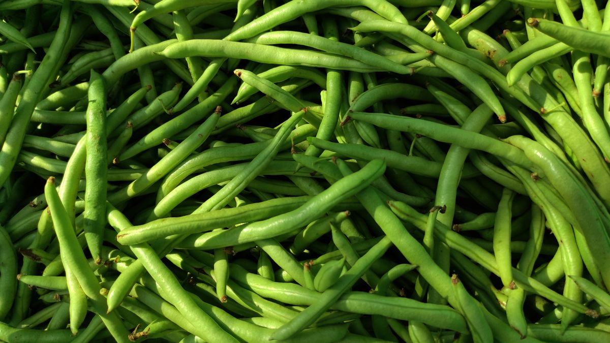 Czy można jeść fasolkę szparagową na surowo? Wyjaśniamy