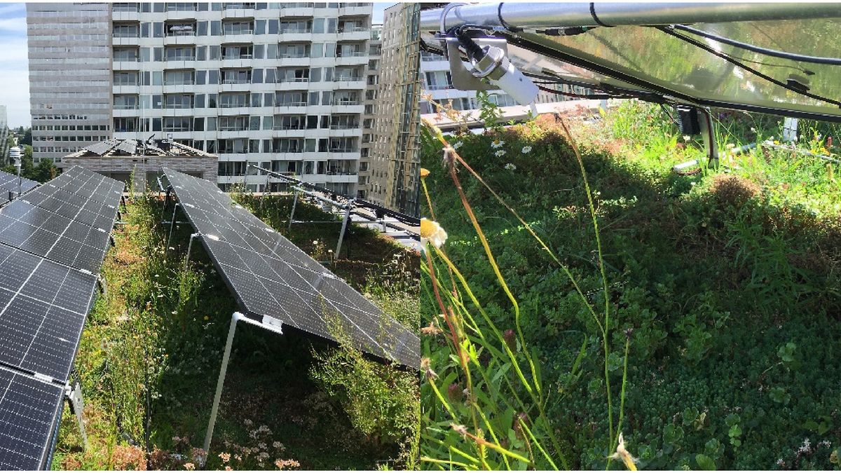 Niebiesko-zielone dachy a fotowoltaika