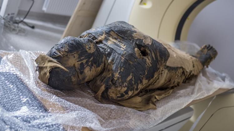 Warszawa. Badania prowadzone od kilku lat nad mumią egipskiego kapłana najpierw wykazały, że to kobieta. Teraz naukowcy odkryli, że wewnątrz zabalsamowanego ciała jest płód