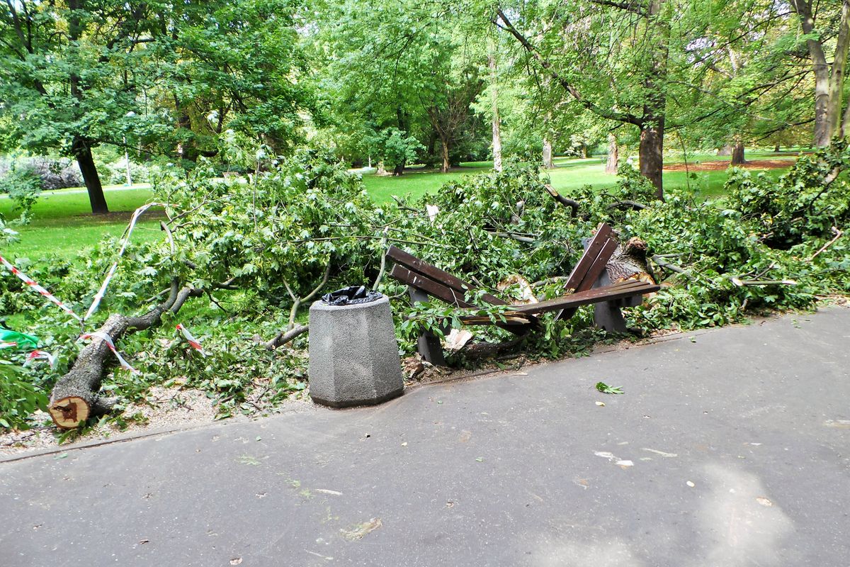 W Parku Praskim zawaliło się drzewo na matkę z dzieckiem. "Nawet nie pożegnałam się z córką"