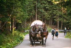 Morskie Oko. Wprowadzono limit wejść na popularnym szlaku