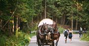 Morskie Oko. Wprowadzono limit wejść na popularnym szlaku