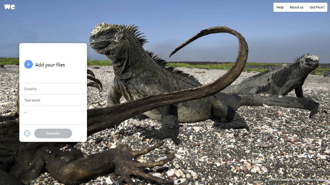 WeTransfer nie tylko do przesyłania zdjęcia. To źródło inspiracji! 2