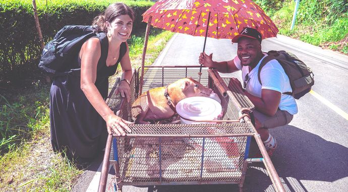 Travel with a Goat